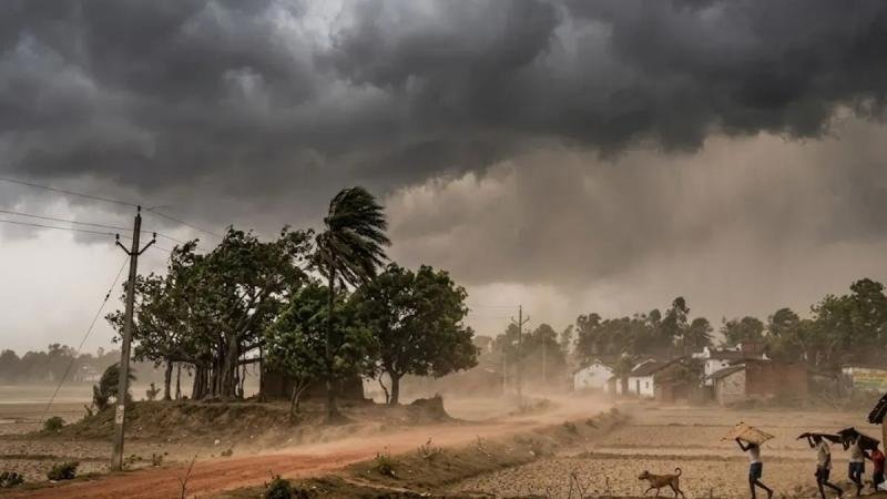 मानसून से पहले झमाझम बारिश, कई जिलों में अलर्ट जारी