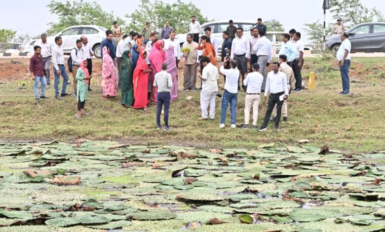 धमतरी में मखाना खेती बना ग्रामीण समृद्धि का नया मॉडल, महिला समूहों की बढ़ेगी आय 1 Makhana cultivation in Dhamtari emerges as a new model for rural prosperity; women's groups set to see increased income.