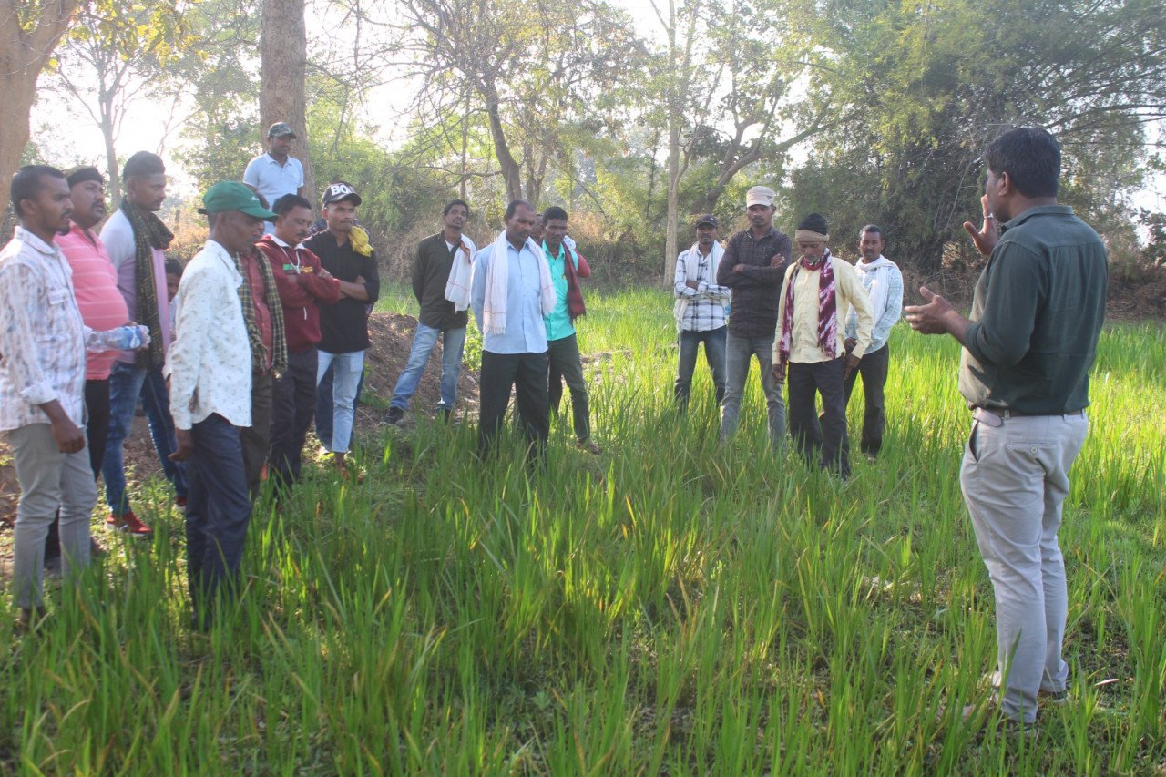 Scope of medicinal farming expands in Chhattisgarh; over 12,000 farmers receive training.