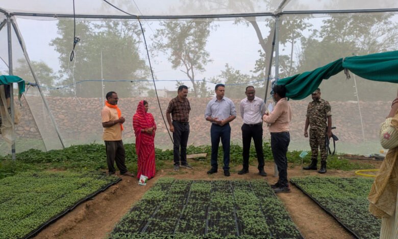 IFC project transforms Neelu Verma's fortunes; nursery business establishes her as a new face of women entrepreneurship.