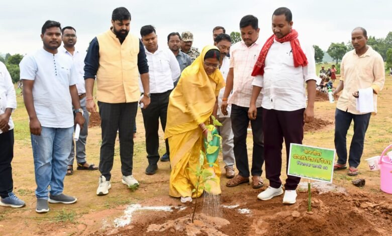 A significant initiative to boost the income of women's groups while conserving the environment through fruit-bearing plants.