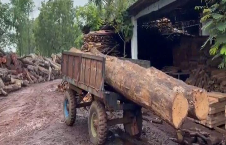 कोरबा वन मंडल का बड़ा एक्शन, रायपुर की आरा मिल से 20 घन मीटर साल की अवैध लकड़ी जब्त 1 Major action by Korba Forest Division: 20 cubic meters of illegal Sal wood seized from a Raipur sawmill.