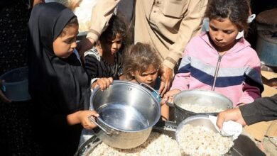 Photo of क्रेमलिन का खौफनाक पलटवार और खाद्य बाजार में हाहाकार