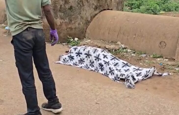 Bloody end to friendship in Raipur: Youth murdered, body hidden in 12-foot-deep cement pipe.