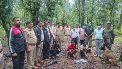 Photo of मरवाही में मृत भालू के नाखून काटकर ले गए आरोपी, वन विभाग ने 24 घंटे में दो को दबोचा