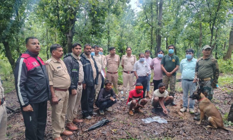 Accused cut off and took away the claws of a dead bear in Marwahi; Forest Department nabbed two of them within 24 hours.
