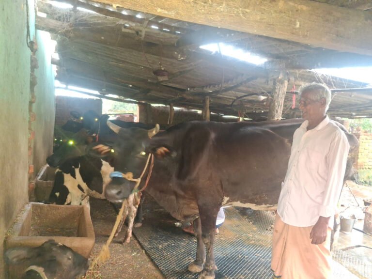 Turning small savings from PM Kisan Samman Nidhi into a big business: At the age of 75, Parshuram Gupta established a successful dairy business with 10 cows.
