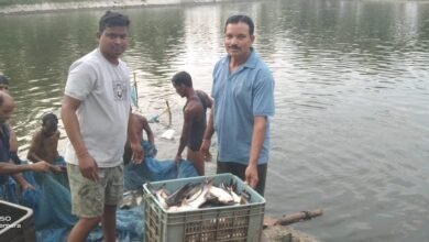 Photo of 0.40 हेक्टेयर जमीन से सालाना 250 क्विंटल मछली! किसान गुलाब पटेल ने खड़ा किया 10-15 लाख कमाई का मॉडल
