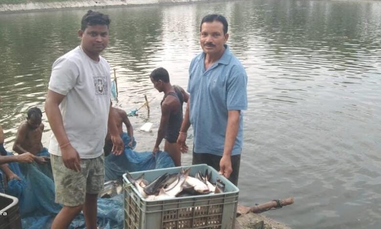 0.40 हेक्टेयर जमीन से सालाना 250 क्विंटल मछली! किसान गुलाब पटेल ने खड़ा किया 10-15 लाख कमाई का मॉडल 1 250 quintals of fish annually from 0.40 hectares of land! Farmer Gulab Patel has created a model generating an income of ₹10–15 lakh.