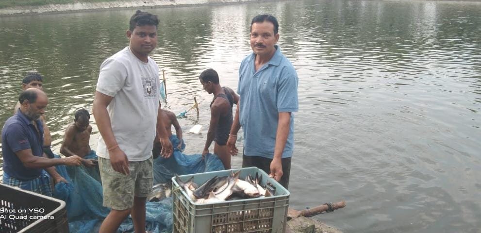 250 quintals of fish annually from 0.40 hectares of land! Farmer Gulab Patel has created a model generating an income of ₹10–15 lakh.
