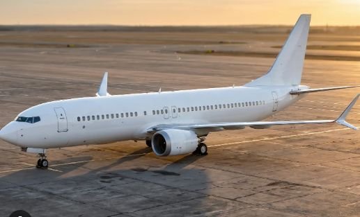 boeing-737-max-software-glitch-faa-investigation