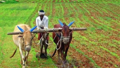 pm-kisan-24th-installment-ekyc-updates-2026